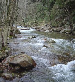 Riserva Naturale Regionale Valli Cupe – Legambiente Calabria APS