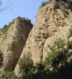 Canyon Valli Cupe