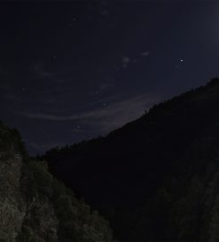 Escursioni in notturna nella riserva delle Valli Cupe
