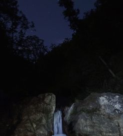 Escursioni in notturna nella riserva delle Valli Cupe
